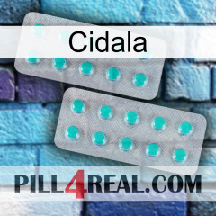 Cidala 29